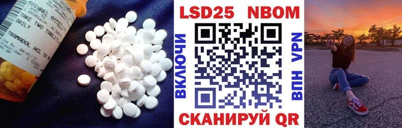 LSD-25 экстази ecstasy  Купить закладки  Грайворон 